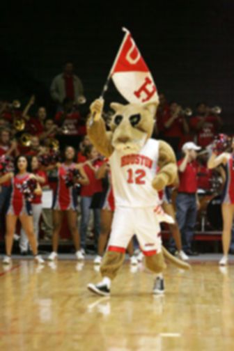 The University of Houston