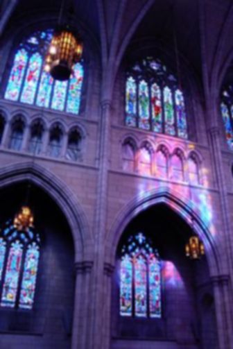 Princeton University